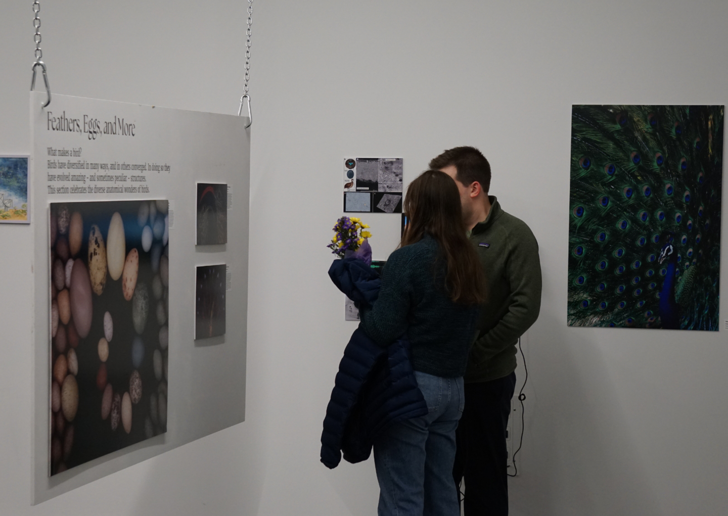 people looking at and discussing exhibition art