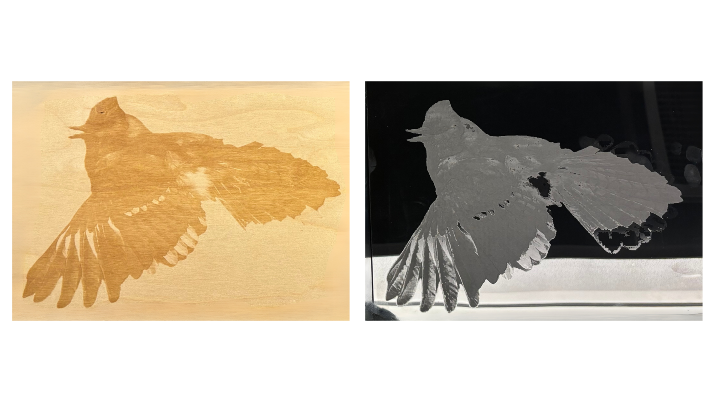 side by side laser cut images of a blue jay on two different materials: light brown wood and black shiny acrylic panel