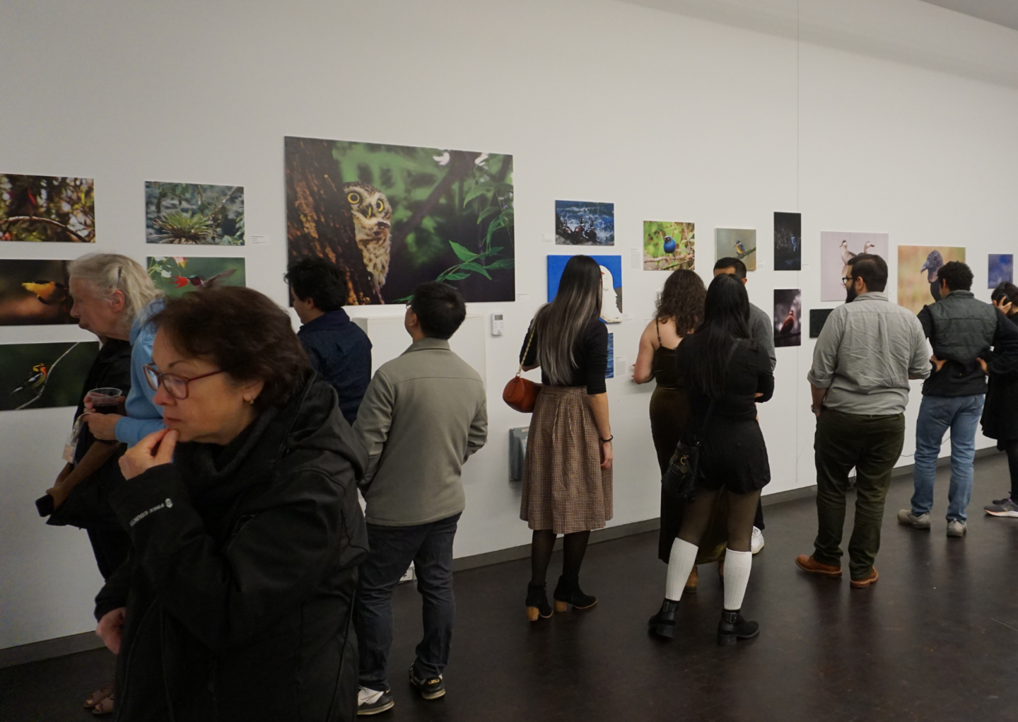 people looking at and discussing exhibition art