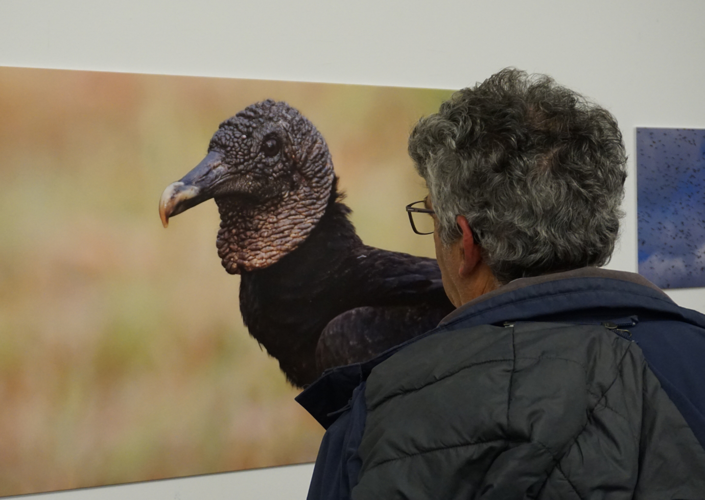 person looking at exhibition art