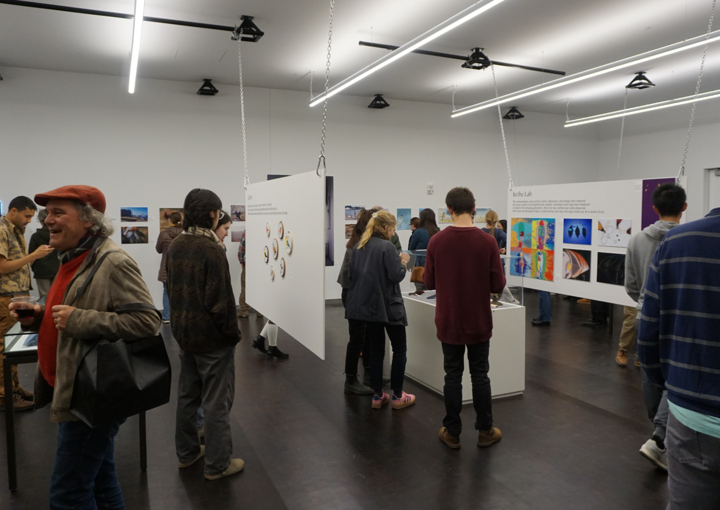 people looking at and discussing exhibition art