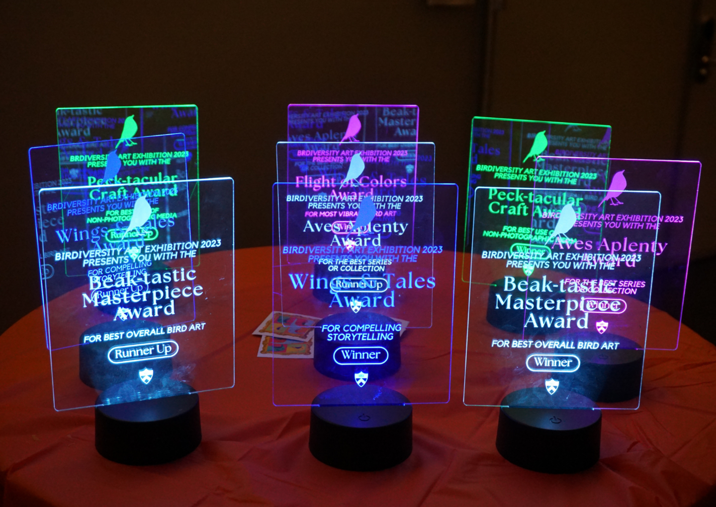 LED awards for BirDiversity artists