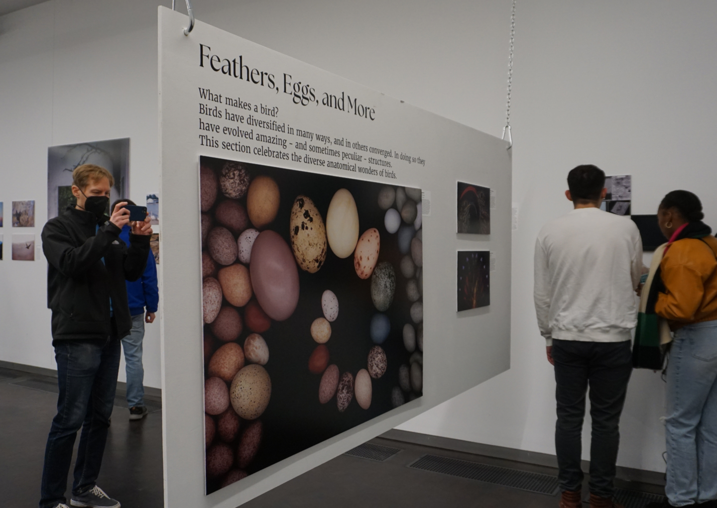 people looking at and discussing exhibition art