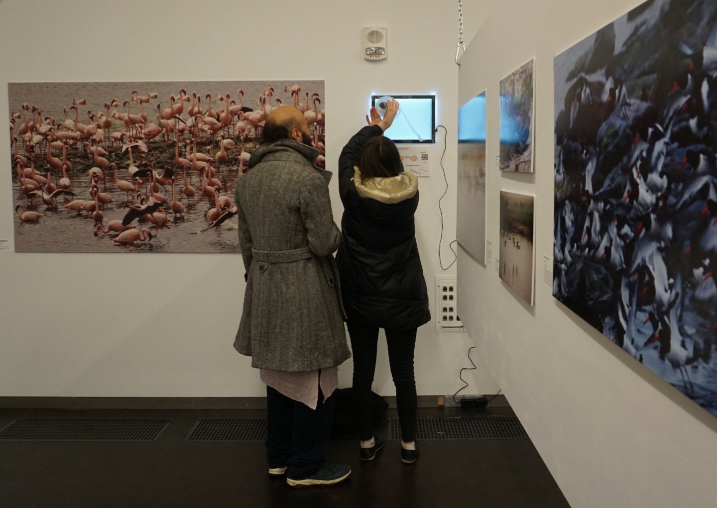 people looking at and discussing exhibition art