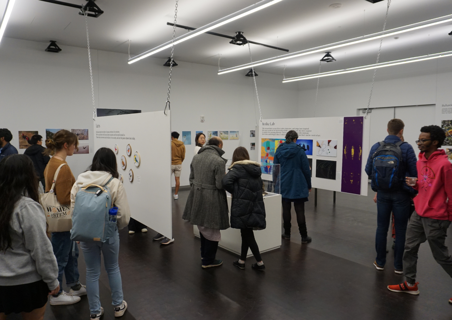 people looking at and discussing exhibition art