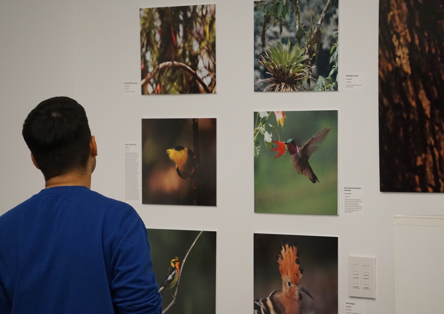 people looking at exhibition art