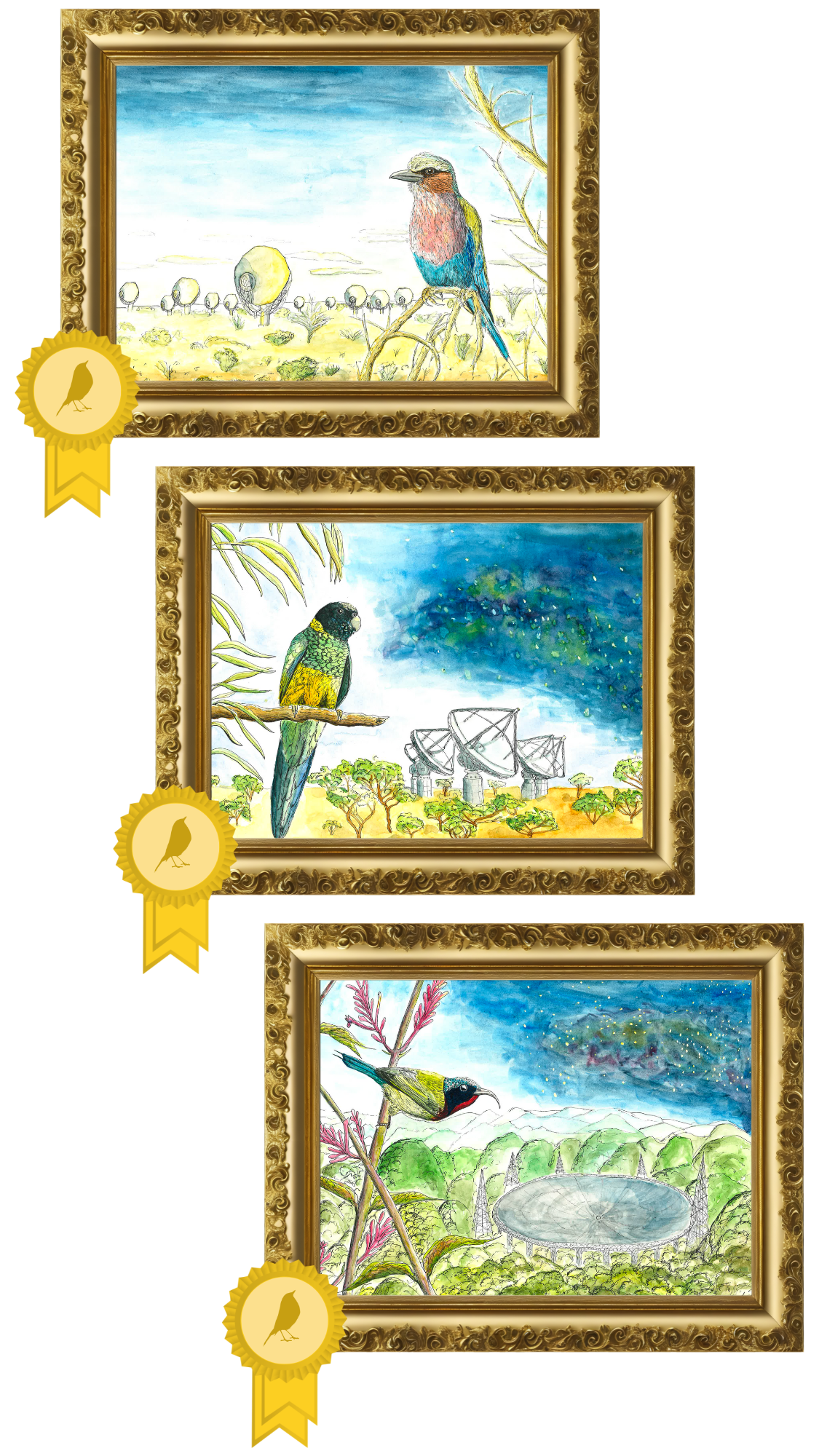 three framed images with gold medals