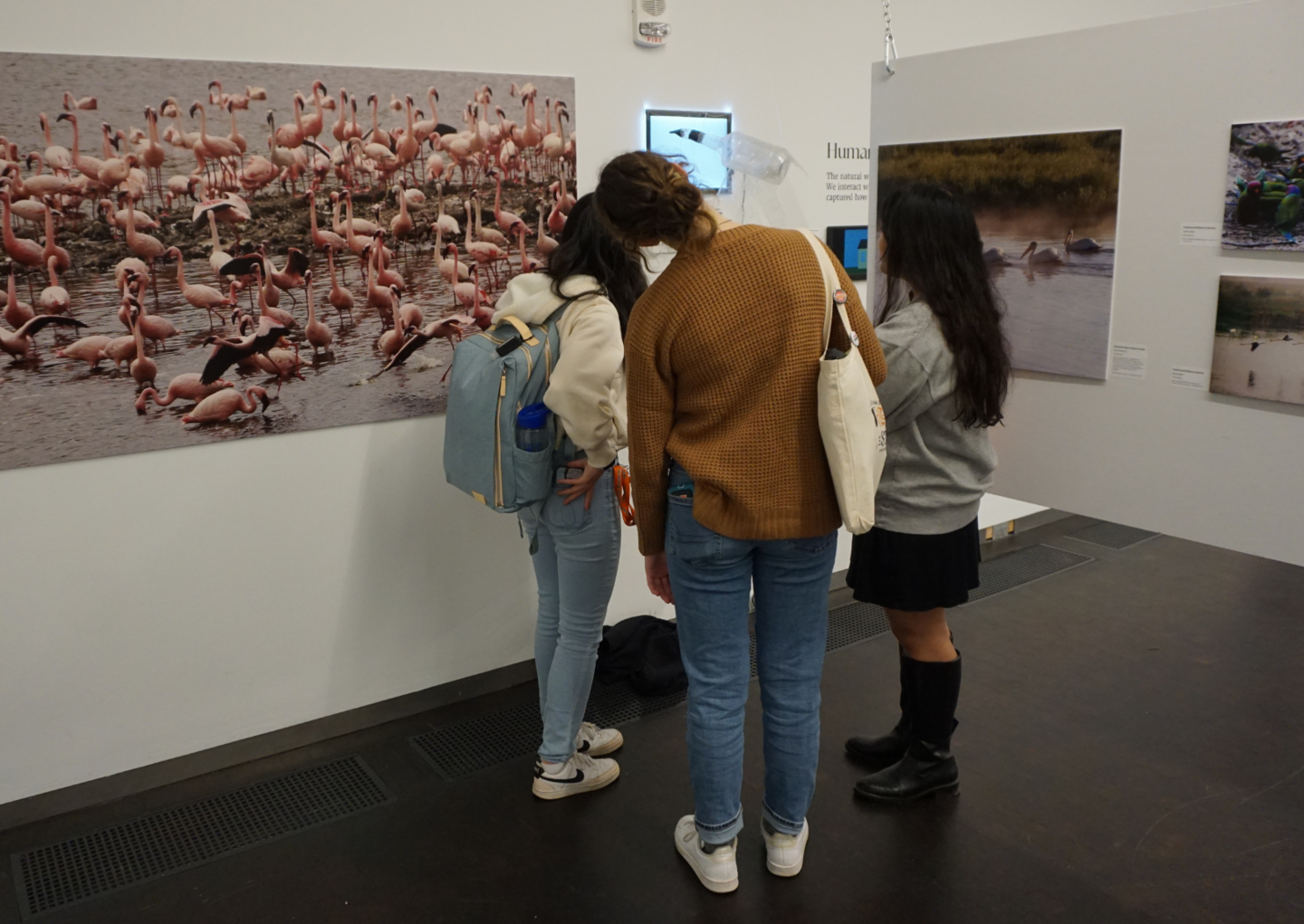 people looking at and discussing exhibition art