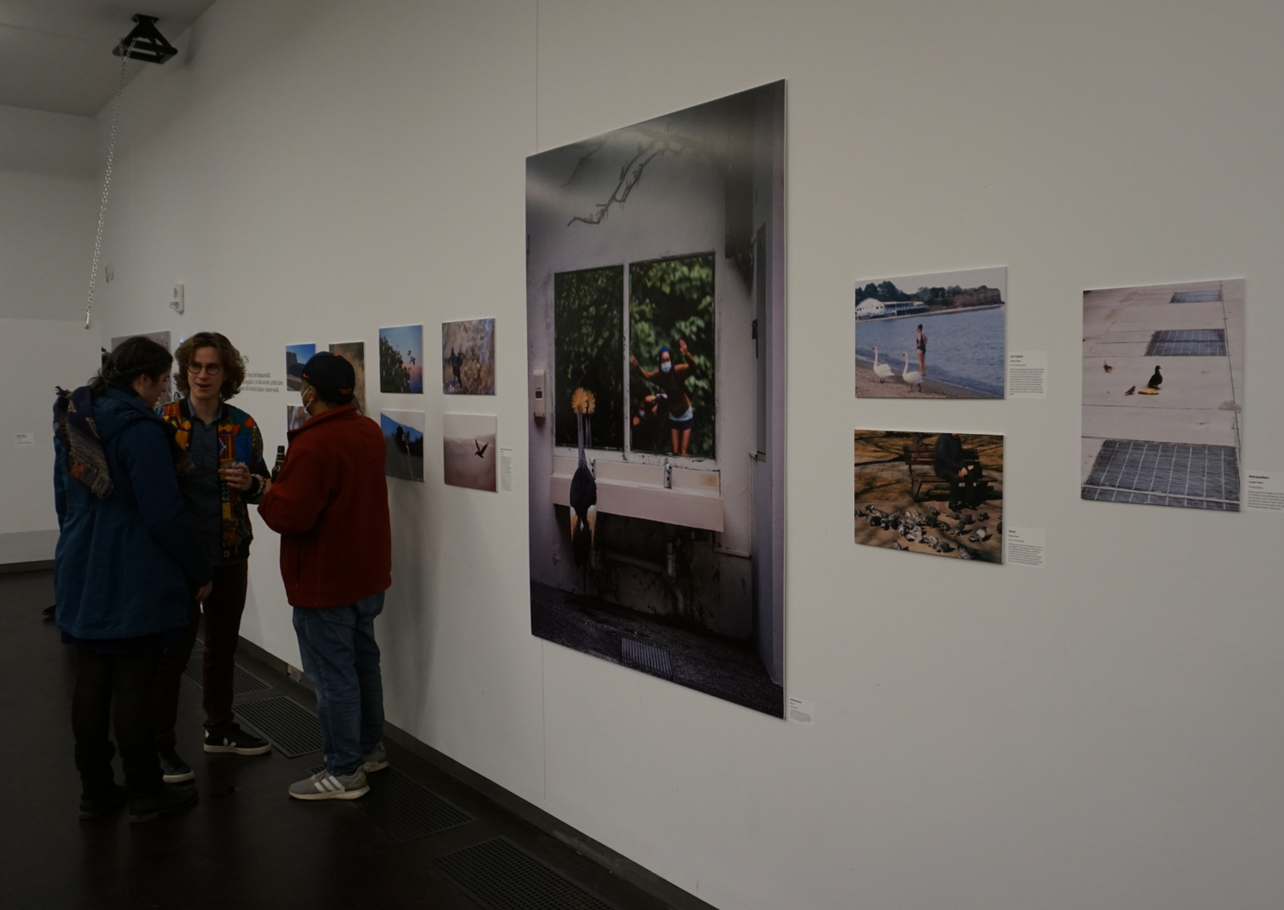 people looking at and discussing exhibition art