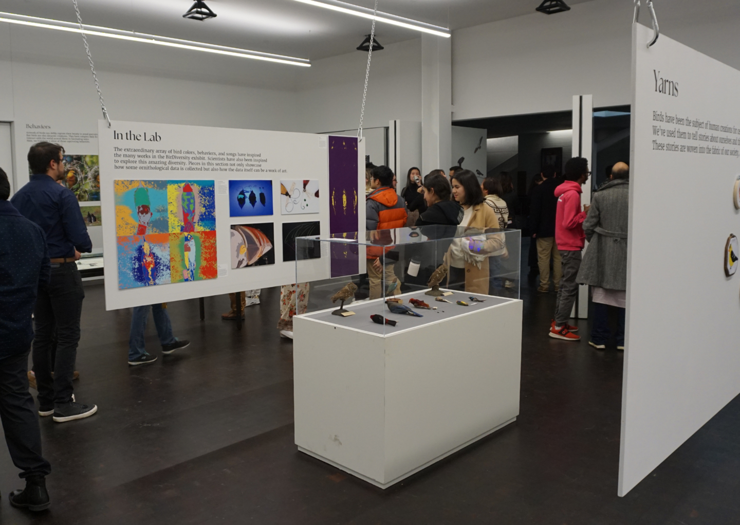 people looking at and discussing exhibition art