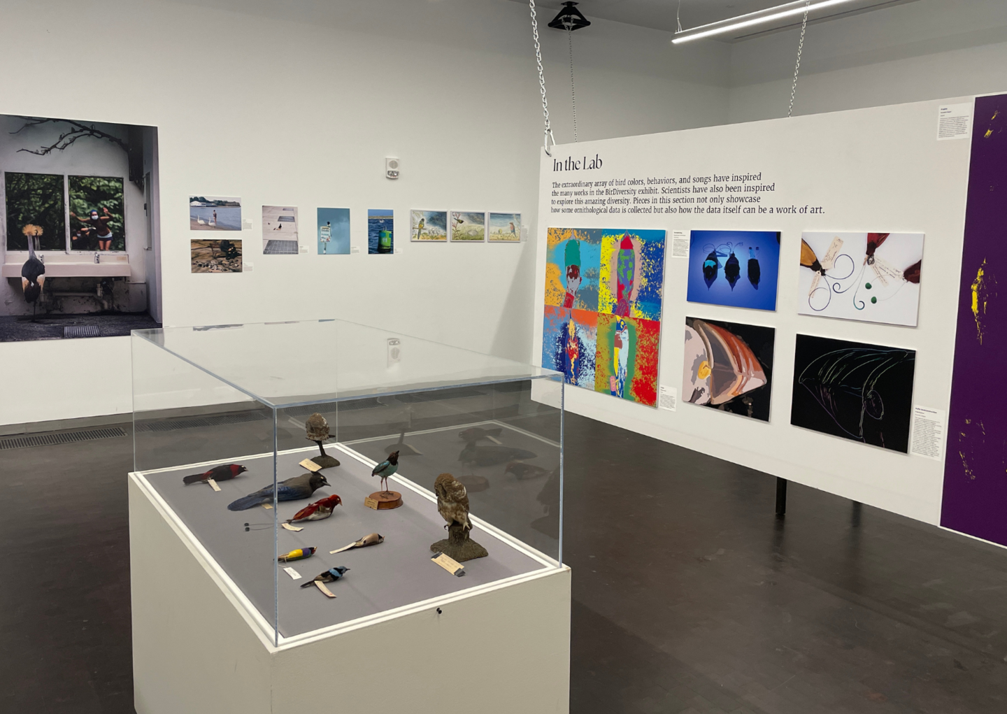 a view of a section of the gallery space