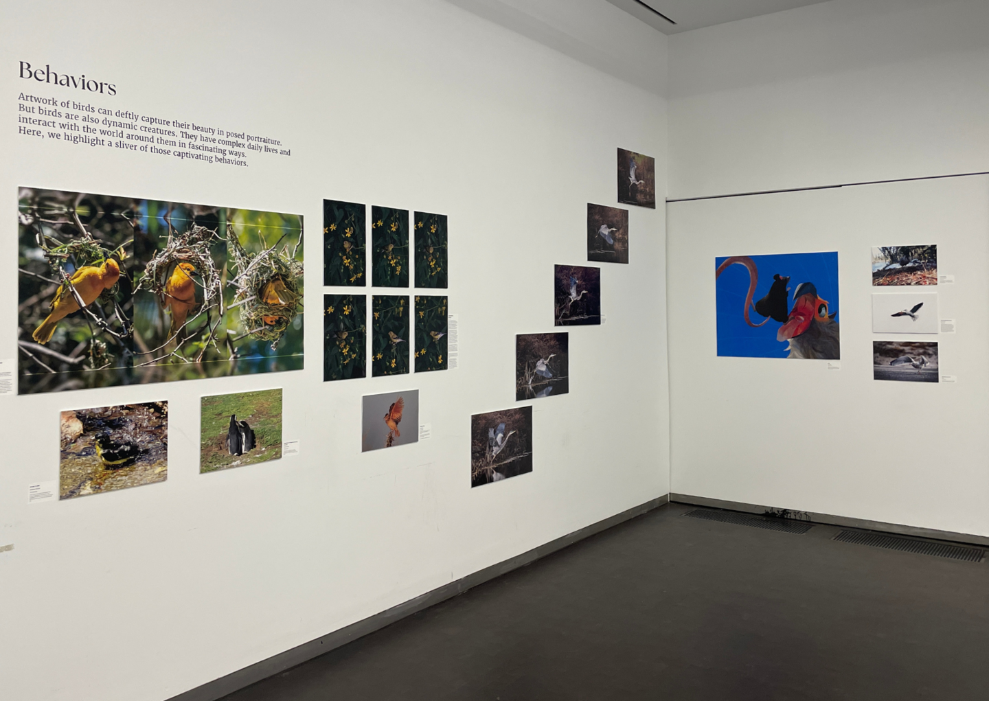 a view of a section of the exhibition