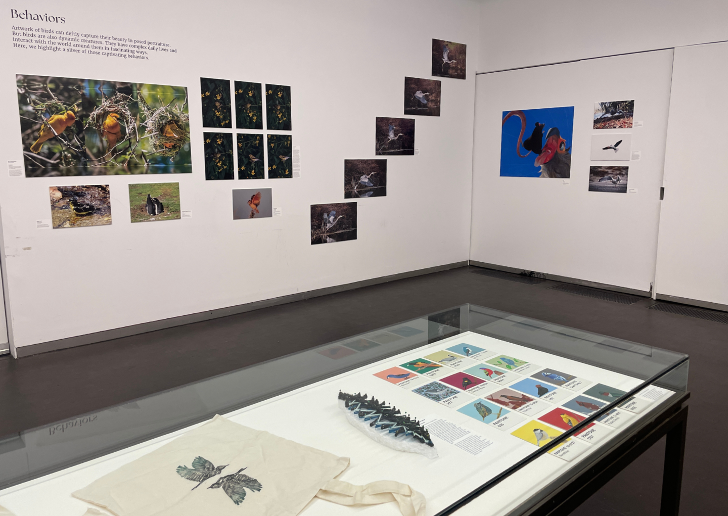 a view of a section of the exhibition