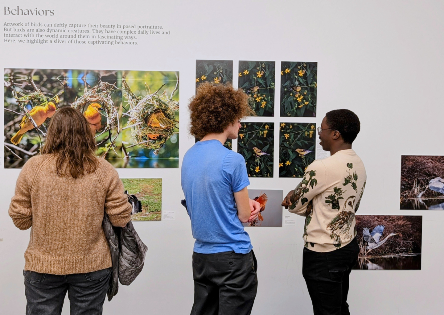 people looking at and discussing exhibition art