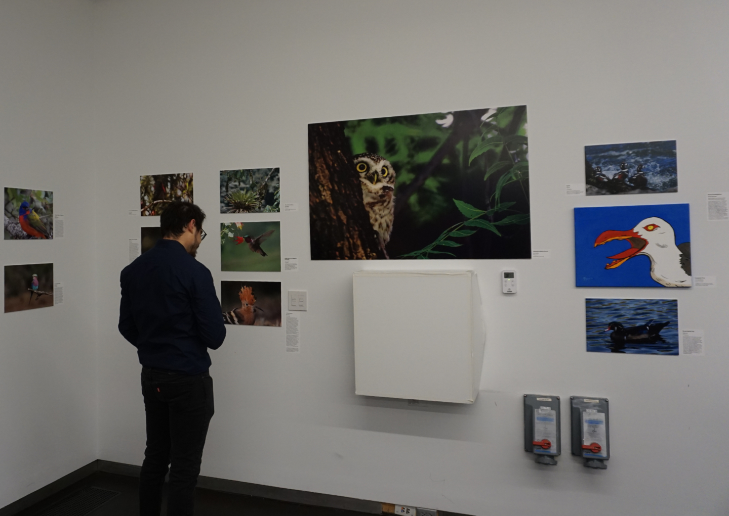 people looking at and discussing exhibition art