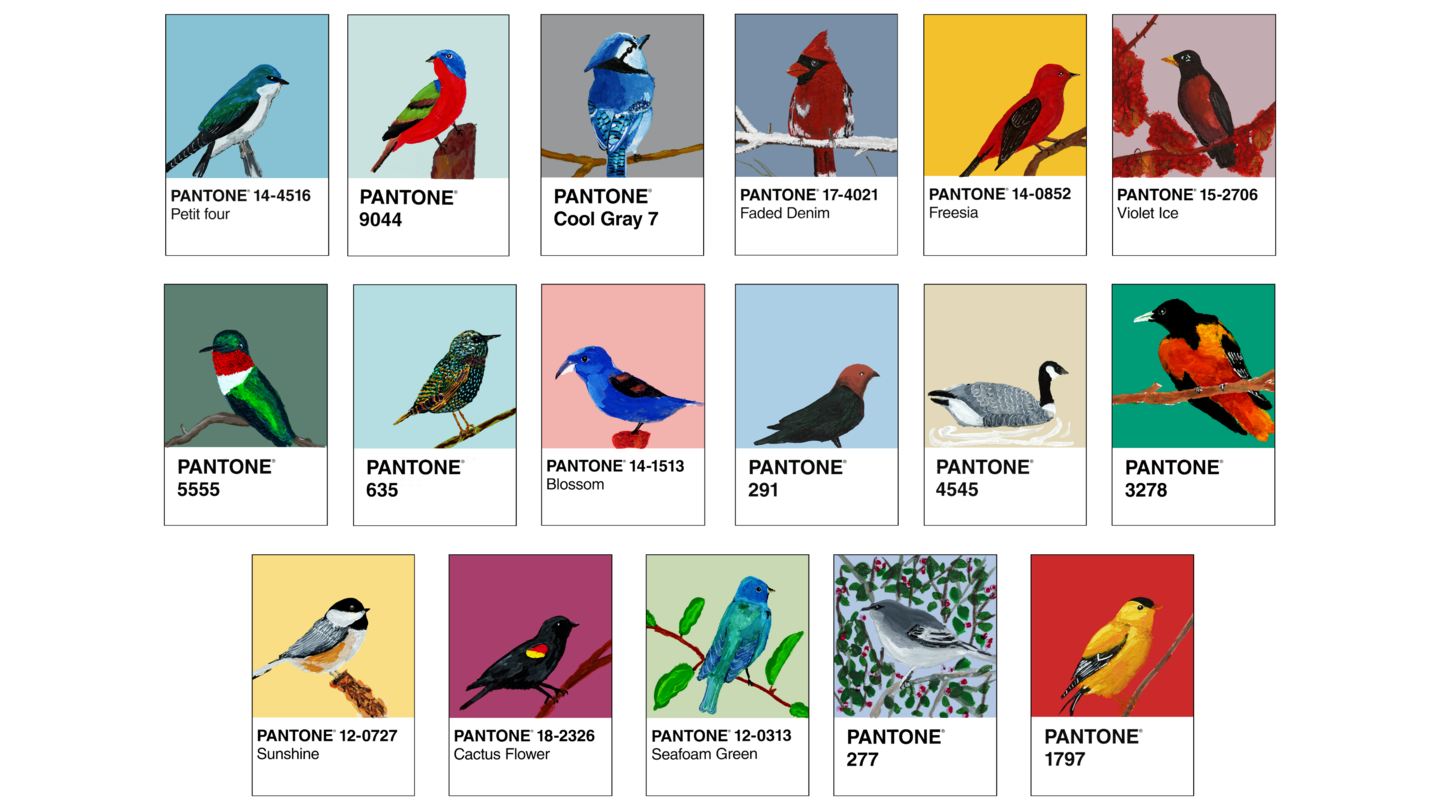 pantone color swatch cards with different birds painted on them