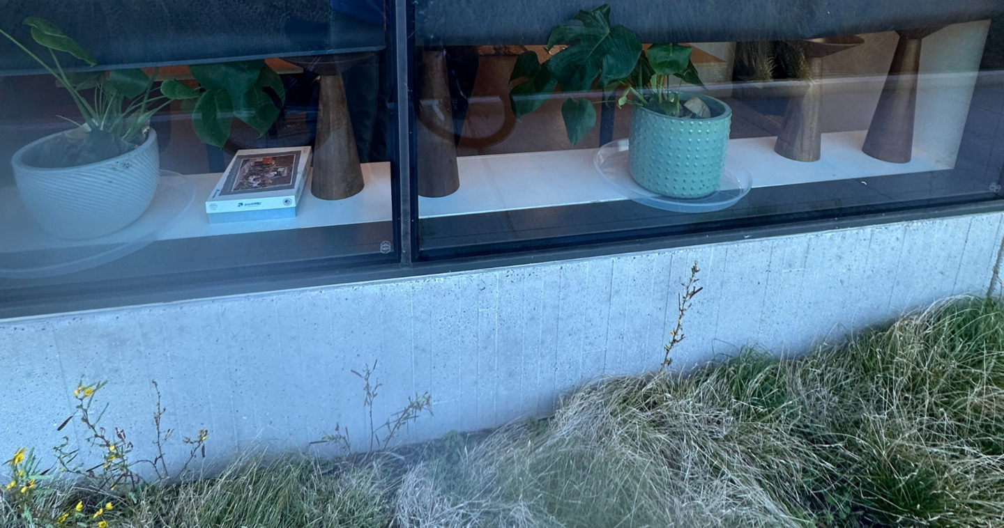 window where bird likely collided