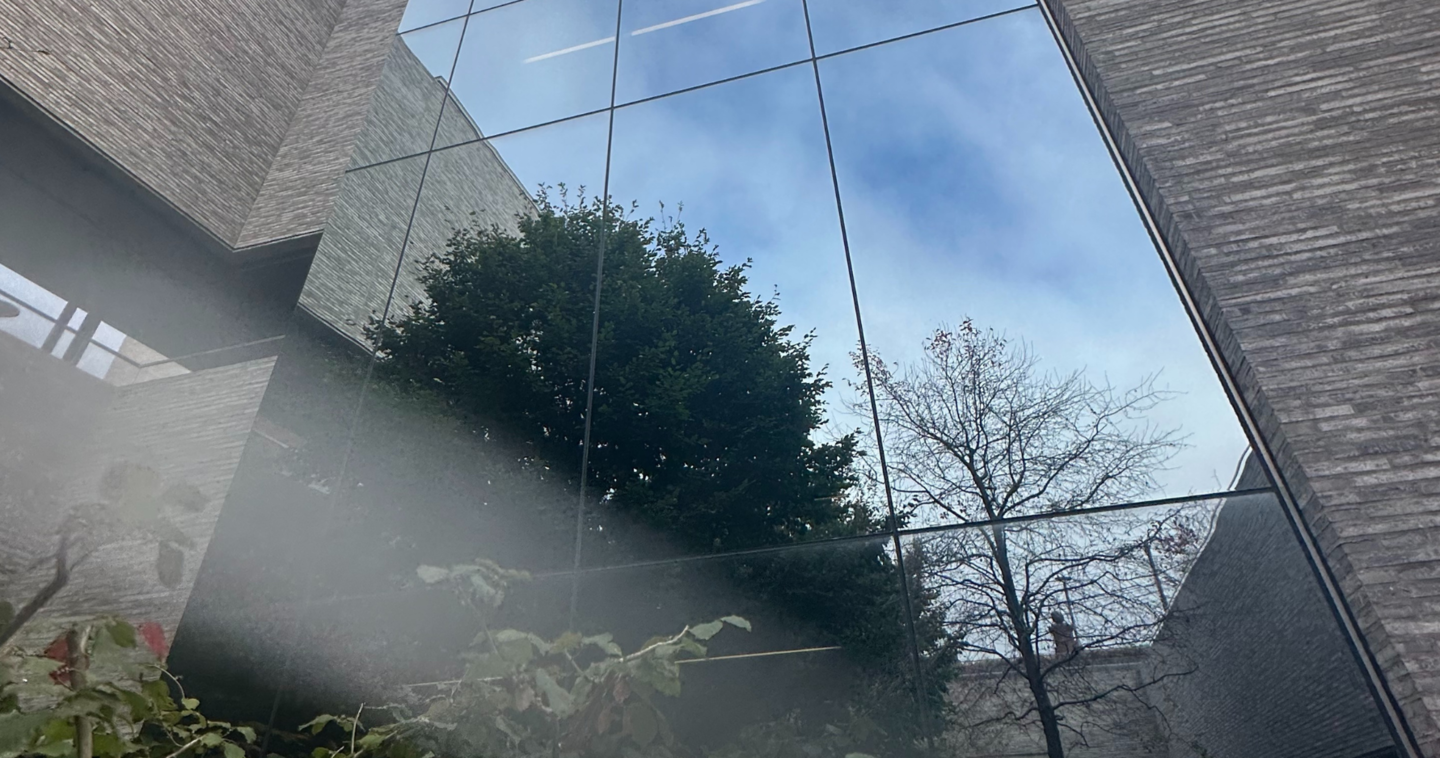 window where bird likely collided