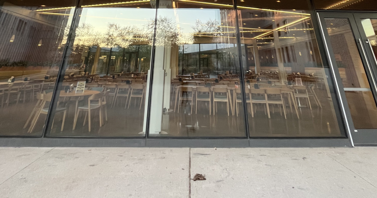 window where bird likely collided