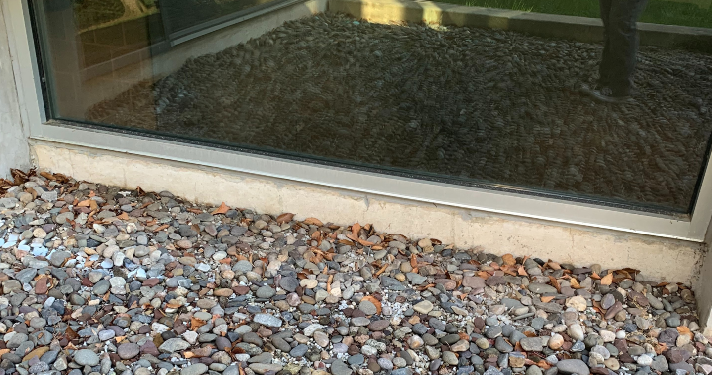 window where bird strike likely occurred