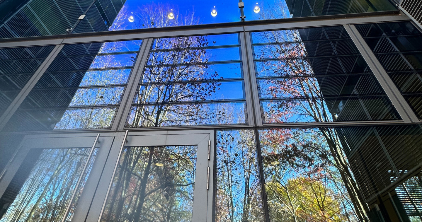window with reflection of trees where bird strike likely occurred