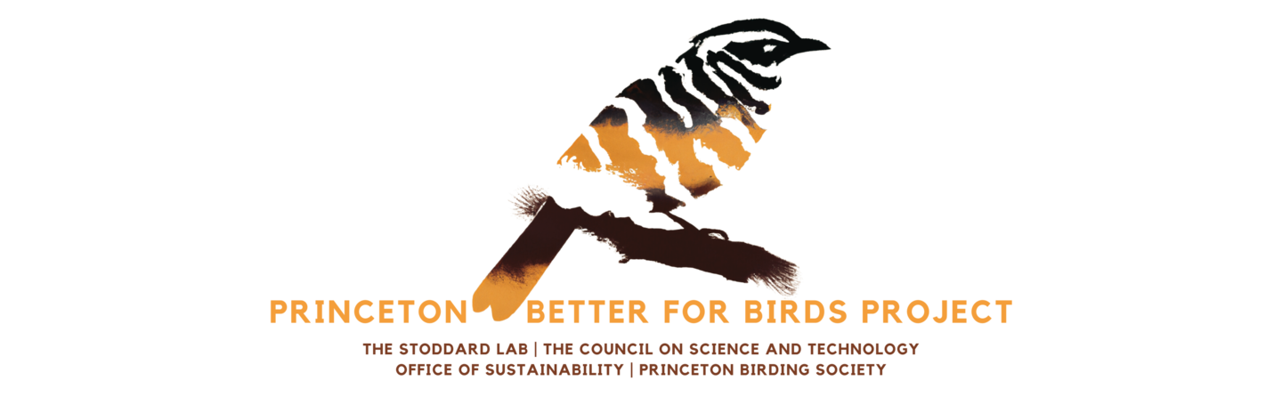 PBBP Logo featuring a striped bird and text