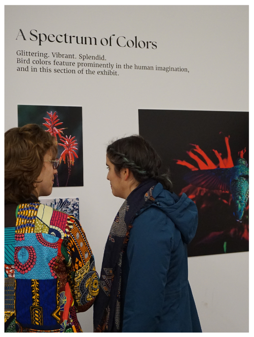 BirDiversity attendees discussing art