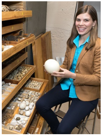 Cassie Stoddard holding egg from Princeton Bird Collection