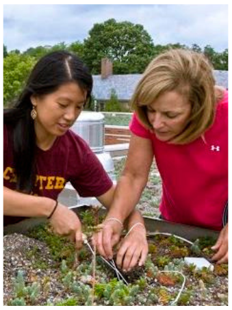 Women working on garden