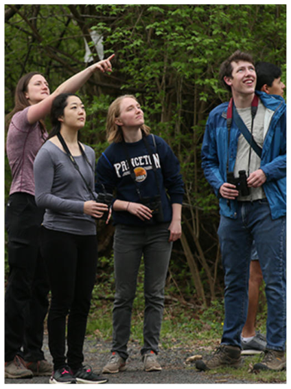 Students looking at and pointing to birds in nature