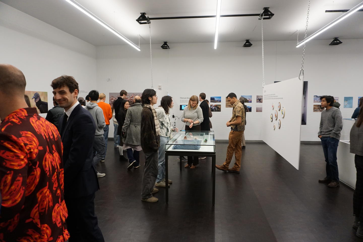 BirDiversity attendees mingling in gallery
