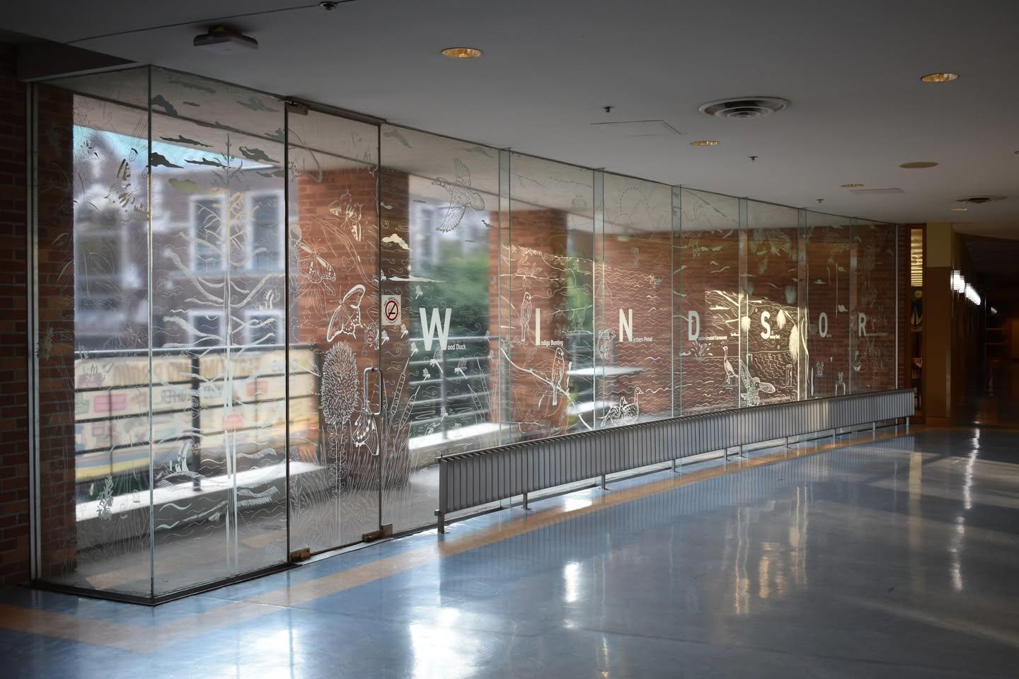 bird decal linework design installed on a window, view from inside the building