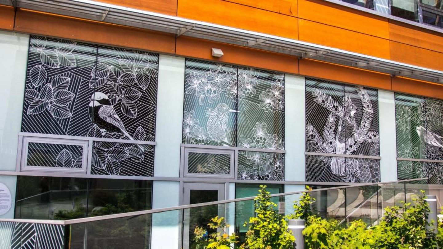 linework bird decal on a window