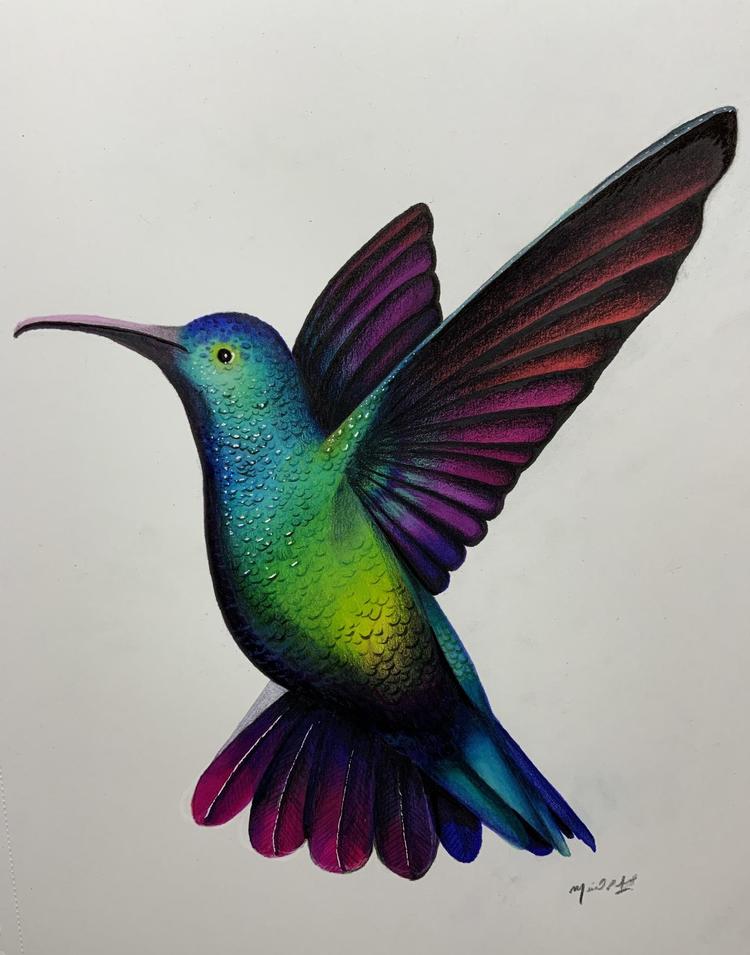 a drawing of a hummingbird with vibrant green belly and purple wings and tail, iridescent all over