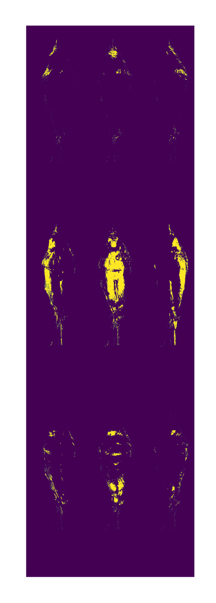 yellow scans of the body of a bird taken from different angles on a purple background