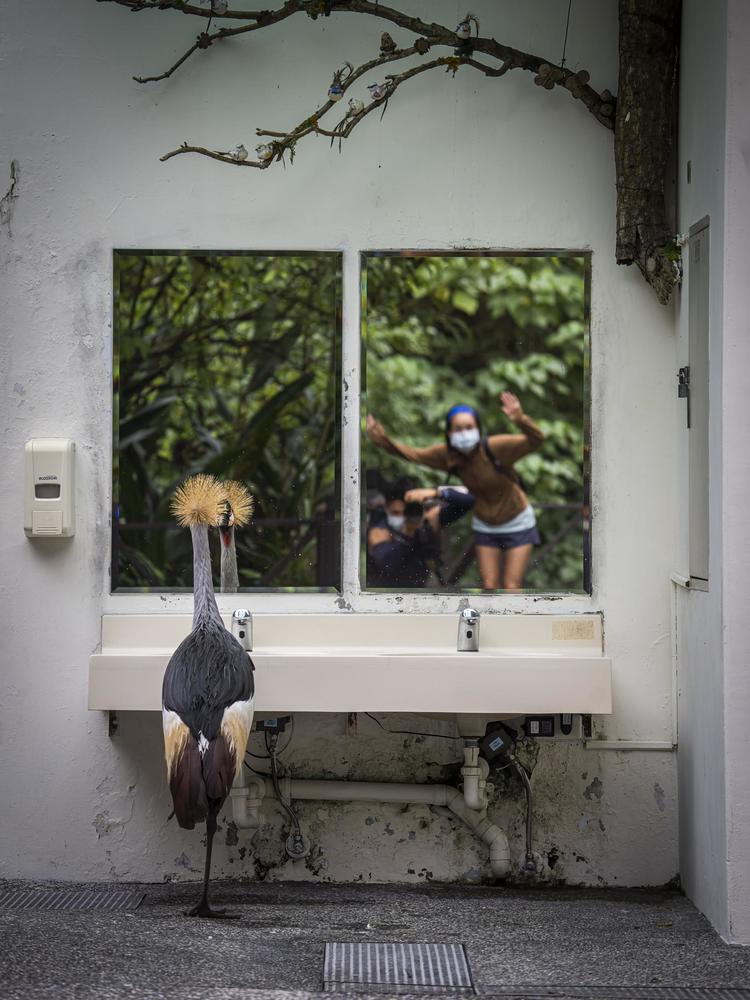 bird and photographer looking at a mirror in a national park